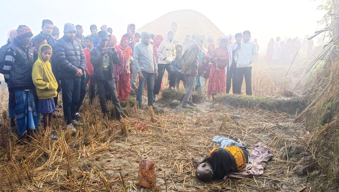 खेतमा काटेको धान रुग्न बसेका बृद्धको हात्तीको आक्रमणबाट मृत्यु,  हात्तीको आक्रमणमा ८ वर्षमा एक दर्जन बढीको मृत्यु